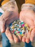 باران پلاستیکی بر سر جنگل‌ها؛ آلودگی در طبیعت بیشتر از شهر!