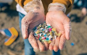 باران پلاستیکی بر سر جنگل‌ها؛ آلودگی در طبیعت بیشتر از شهر!