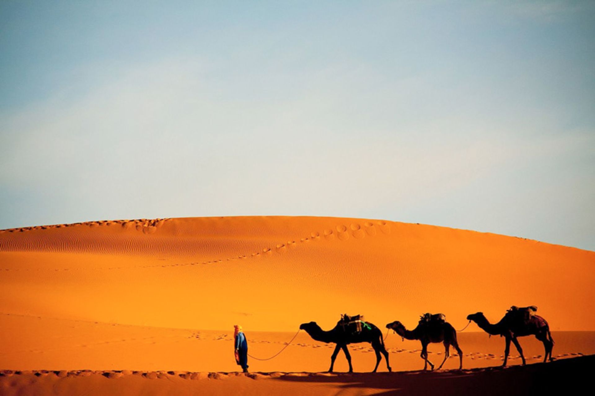 کاروان شترها در بیابان نیجر