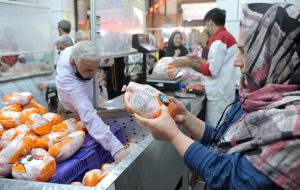 سقوط قیمت مرغ آغاز شد