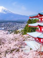 Metaplanet 136 BTC را خریداری می کند ، گزارش 487 ٪ YTD BTC