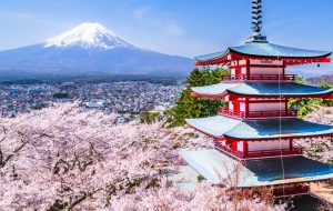 Metaplanet 136 BTC را خریداری می کند ، گزارش 487 ٪ YTD BTC