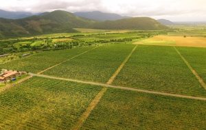 جورجیا مشارکت 100 میلیون دلاری را برای پیشبرد کشاورزی دارایی دنیای واقعی (RWA) تأمین می کند