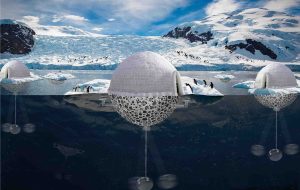 نوآوری معمار ایرانی برای نجات پنگوئن‌ها؛ طرحی برای کند کردن ذوب یخ‌ها