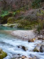 جنگل بلیران کجاست؛ آدرس و مسیر دسترسی به بهشت پنهان آمل