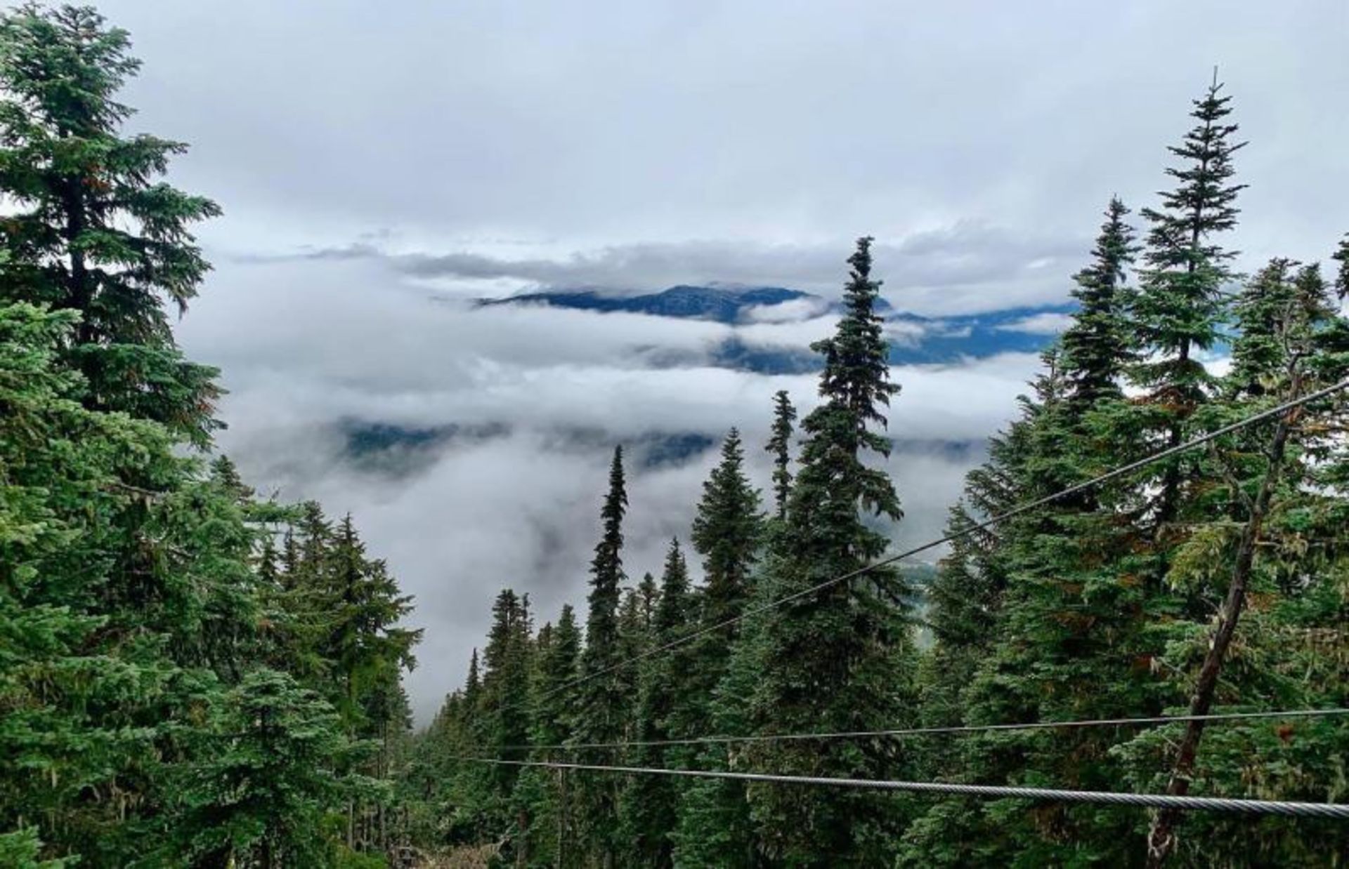 مسیر زیپ لاین ساس‌ کواچ در میان درختان 