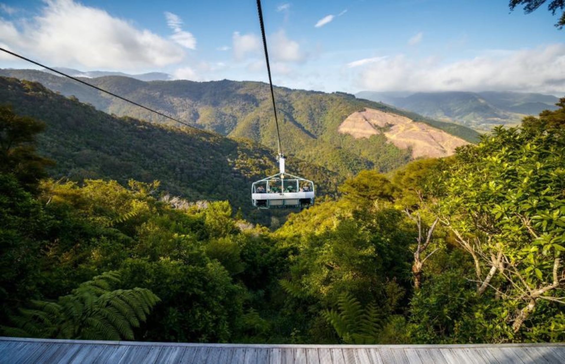 جنگل کوهستانی مسیر زیپ لاین اسکای‌ وایر 