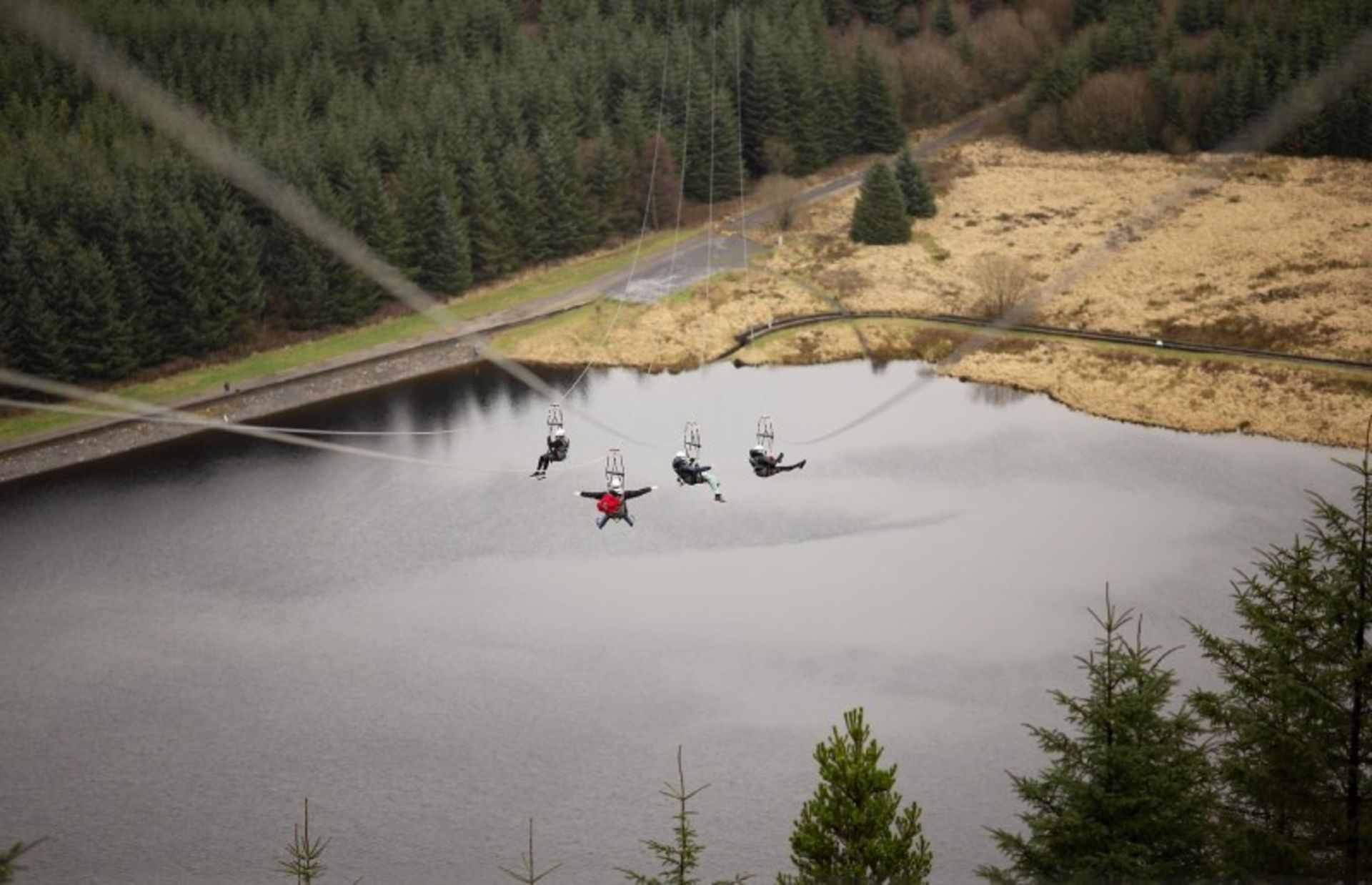 چهار فرد در چهار مسیر زیپ لاین در مجموعه زیپ ورلد تاور  