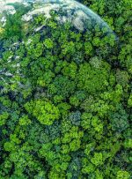 سرسبزی زمین؛ راه‌حل اقلیمی یا بحران پنهان آب؟