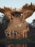 ایده جسورانه در طبیعت؛ تماشای جادوی جنگل روی شاخ گوزن ایده جسورانه در طبیعت؛ تماشای جادوی جنگل روی شاخ گوزن