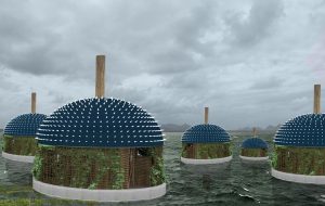 خانه‌‌ای با الهام از ماهی بادکنکی؛ طرح معمار ایرانی برای مقابله با تغییرات اقلیمی