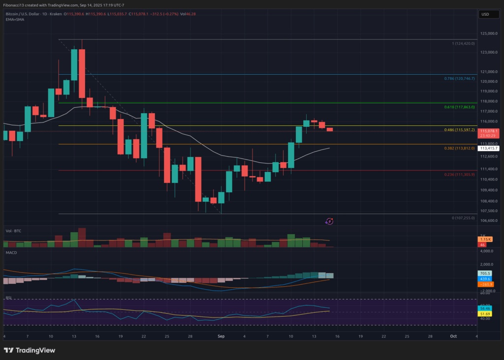 اگر سیگنال های فدرال خط مشی را از بین ببرد ، 130،000 دلار چشم بیت کوین