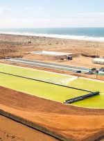 بزرگ‌ترین مزرعه جلبک جهان؛ سلاح طبیعی علیه تغییرات اقلیمی