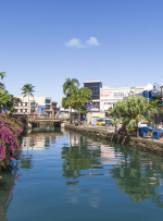 فیجی مجدداً بر ممنوعیت ارائه دهندگان خدمات رمزنگاری نسبت به خطرات جرم مالی تأکید می کند