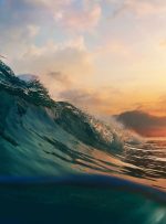 وقتی دریا نفس کم می‌آورد: گرمایش بی‌سابقه و تضعیف اسفنج کربنی سیاره ما