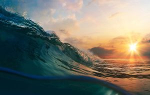 وقتی دریا نفس کم می‌آورد: گرمایش بی‌سابقه و تضعیف اسفنج کربنی سیاره ما