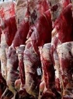 واکنش یک مسئول به خبر ورود گوشت آلوده به بازار
