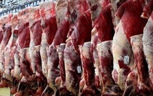 واکنش یک مسئول به خبر ورود گوشت آلوده به بازار