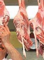 جزئیات جدید از گوشت‌های مرجوعی مغولستان/ پشت پرده واردات گوشت فاسد به ایران چیست؟