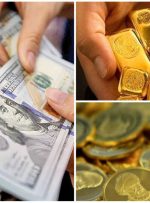 سقف جدید دلار در صورت فعال شدن مکانیسم ماشه کجاست؟/ سمیعی: افزایش قیمت‌ها نتیجه ضعف سیاست‌های اقتصادی و تورم است