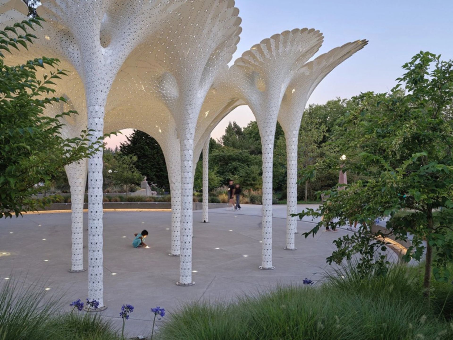 کودکی در حال بازی زیر سایه بان پایلوتی در واشینگتن