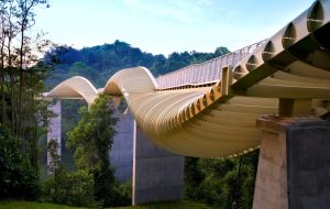 پیاده‌روی میان موج‌ها؛ پل چوبی هندرسون در سنگاپور