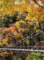 ۵ مقصد خارجی برای عاشقان کوهنوردی و طبیعت‌گردی
