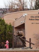 فریب دوستیابی-برنامه منجر به از دست دادن رمزنگاری 1.4 میلیون دلاری می شود-دفتر تحقیقات کلرادو زنگ هشدار به نظر می رسد