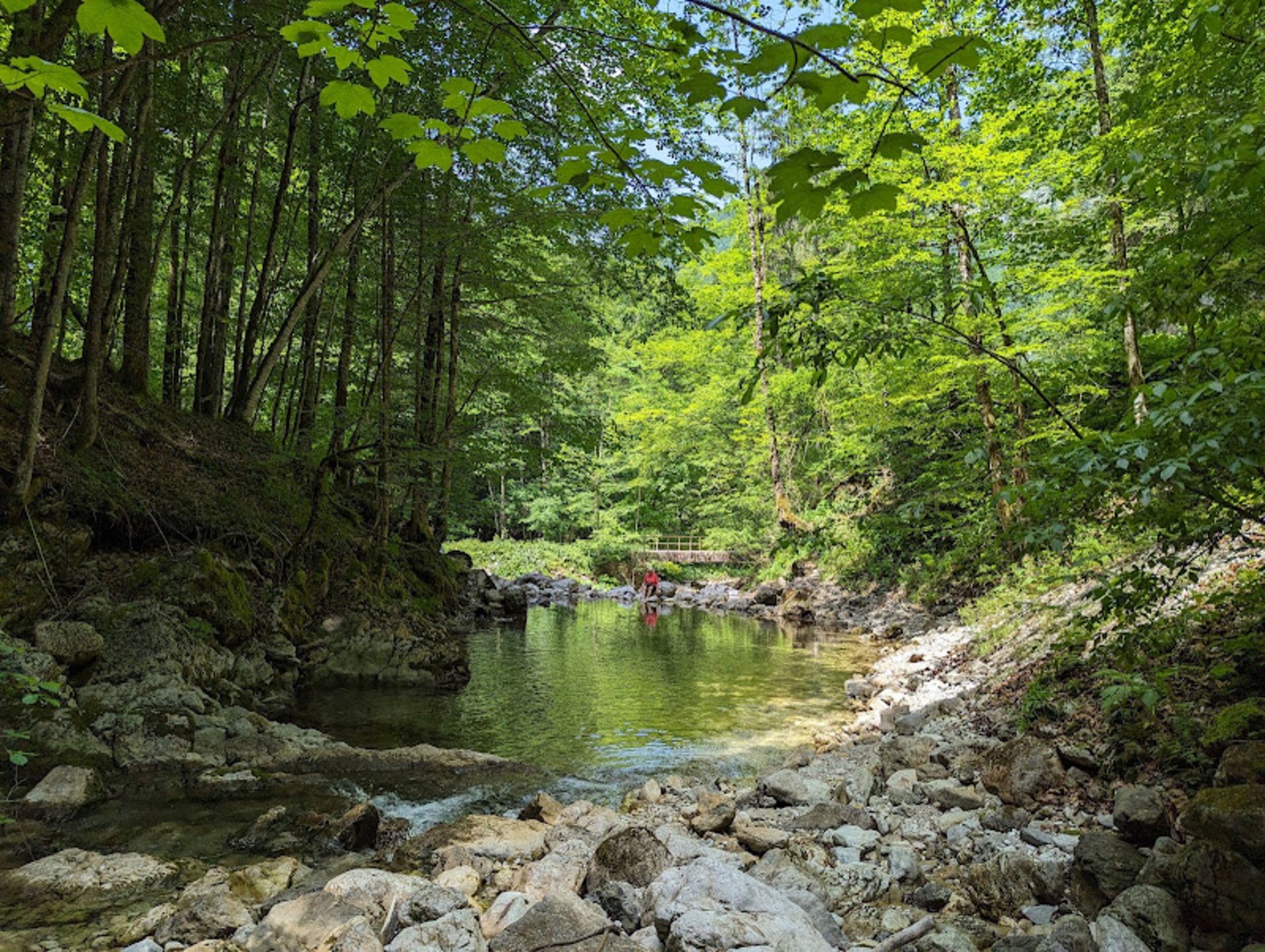 رودخانه جاری میان پارک ملی کالکالپن در اتریش