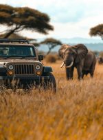 پارک‌های ملی کمتر شناخته‌شده در اروپا و آسیا؛ گنج‌های پنهان برای سفر