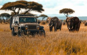 پارک‌های ملی کمتر شناخته‌شده در اروپا و آسیا؛ گنج‌های پنهان برای سفر