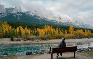 آلبرتا بیش از 1000 دعوت به نامزدها در آخرین تساوی PNP صادر می کند