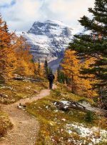 آلبرتا بیش از 1300 نامزد را در تساوی مهاجرت استانی دعوت می کند