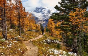 آلبرتا بیش از 1300 نامزد را در تساوی مهاجرت استانی دعوت می کند