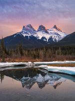 آلبرتا تخصیص نامزدی استانی را افزایش می دهد