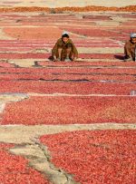 از آغاز سال تحصیلی تا جشنواره‌های سنتی؛ روایت تصویری از رویدادهای هفته