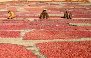 از آغاز سال تحصیلی تا جشنواره‌های سنتی؛ روایت تصویری از رویدادهای هفته
