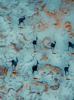 از قله‌های کوه تا جاده‌های بی‌انتها؛ تصاویر پهبادی از ماجراجویی در آسمان