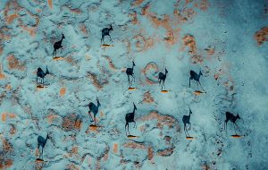 از قله‌های کوه تا جاده‌های بی‌انتها؛ تصاویر پهبادی از ماجراجویی در آسمان