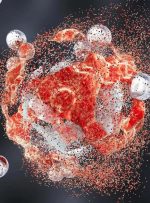 از وعده‌های غذایی تا سرطان؛ رابطه‌ای که باید بدانید