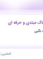 استخدام کارشناس املاک مبتدی و حرفه‌ای در دپارتمان املاک نگین در تهران