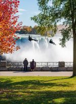 این پروفایل هایی هستند که ITA را در جدیدترین قرعه کشی معاملات ورودی دریافت می کنند