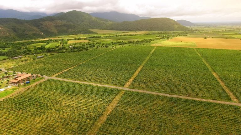 جورجیا مشارکت 100 میلیون دلاری را برای پیشبرد کشاورزی دارایی در دنیای واقعی (RWA) به دست می آورد ، و زمین های کشاورزی را به یک دارایی آب و هوایی تأیید شده و تأیید شده توسط blockchain تبدیل می کند