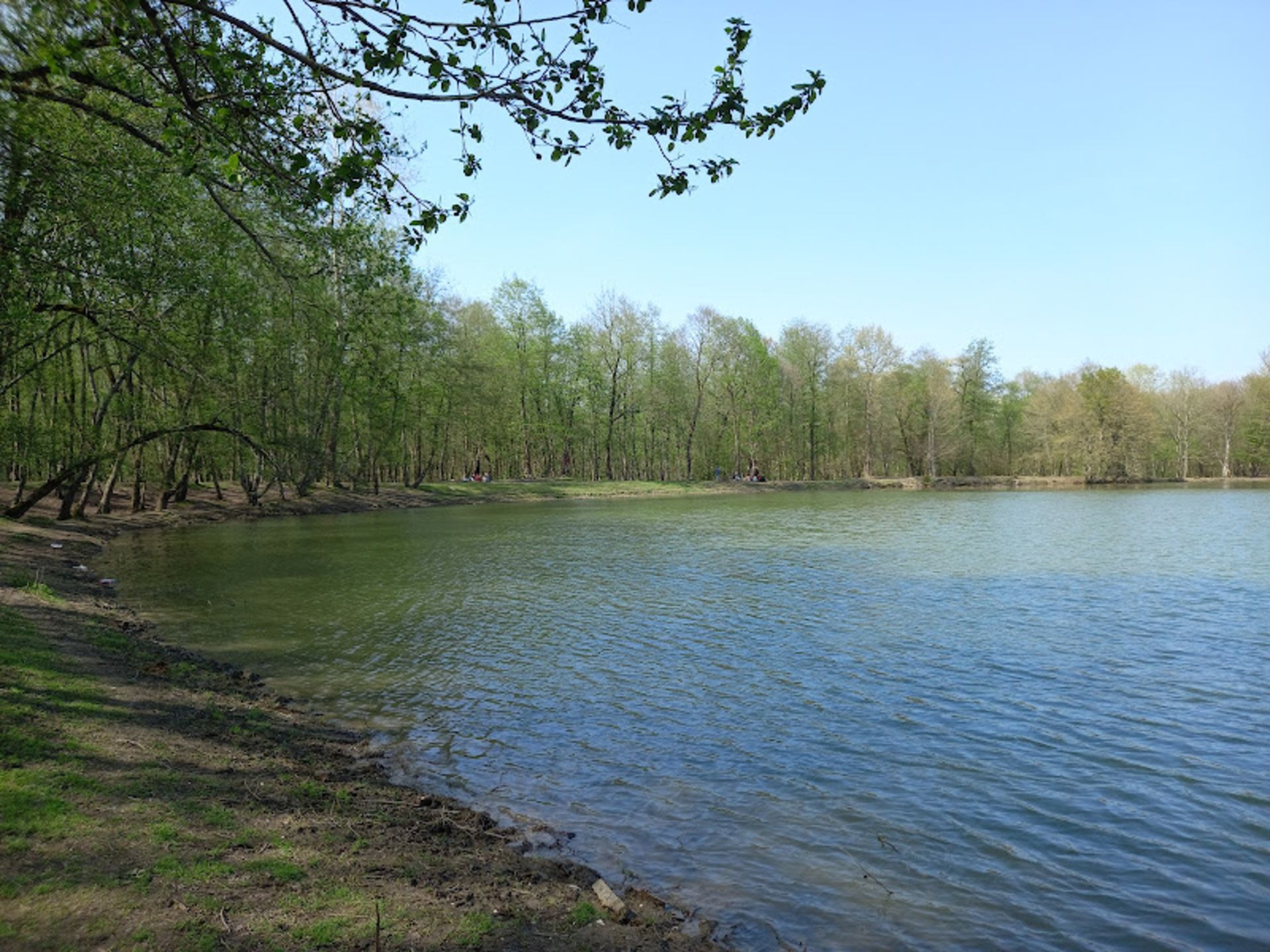 درختان سرسبز دورتادور دریاچه جوربند 