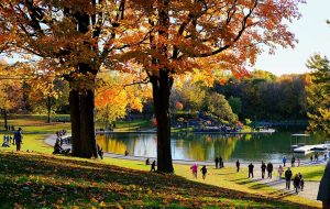 رشد جمعیت مسطح کانادا منعکس کننده سیاست های مهاجرتی است