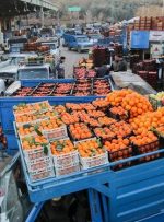 سالاد لوکس شد!/ خیار و کاهو در صدر گرانی‌ها قرار گرفت