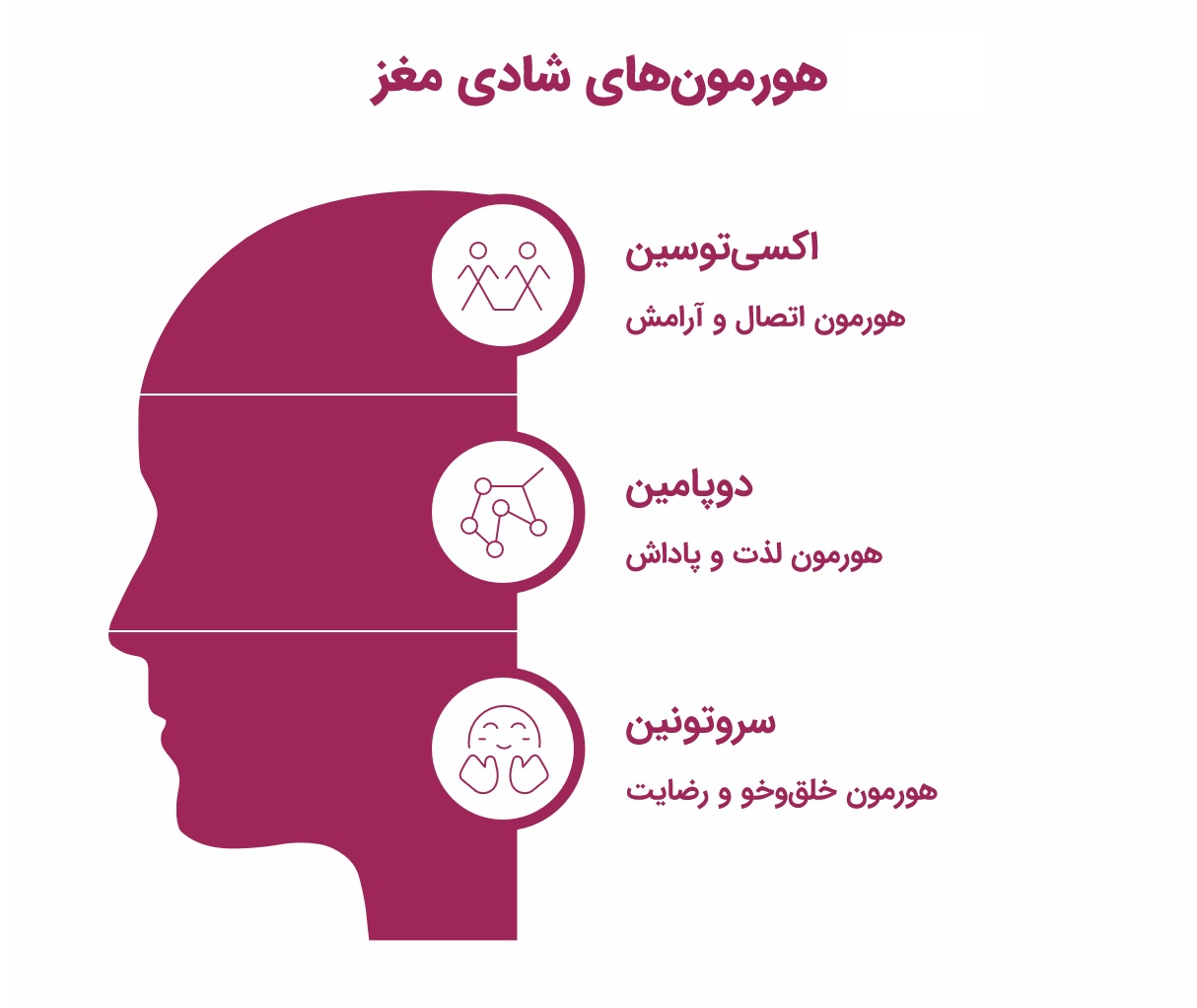 اینفوگرافیک هورمون های شادی