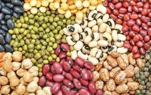 لوبیاچیتی ایرانی و وارداتی ارزان شد/ مصرف‌کنندگان منتظر کاهش بیشتر قیمت‌ها باشند؟