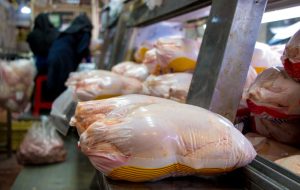 مرغ کیلویی ۱۶۰ هزار تومان شد؟/ در این تاریخ منتظر ارزان شدن مرغ باشید