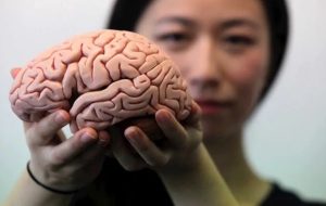 مغز چگونه در چاقی نقش بازی می‌کند؟